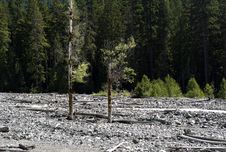 Rocky River Bed Royalty Free Stock Photo Rocky River Bed Royalty Free Stock Photo