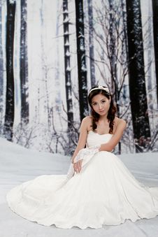 Portrait Of Beautiful Young Woman In Wedding Dress Stock Photo Portrait Of Beautiful Young Woman In Wedding Dress Stock Photo