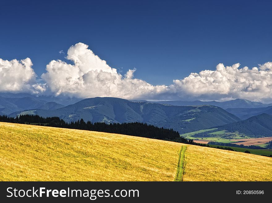 Meadows in late summer with cloudy sky. Meadows in late summer with cloudy sky