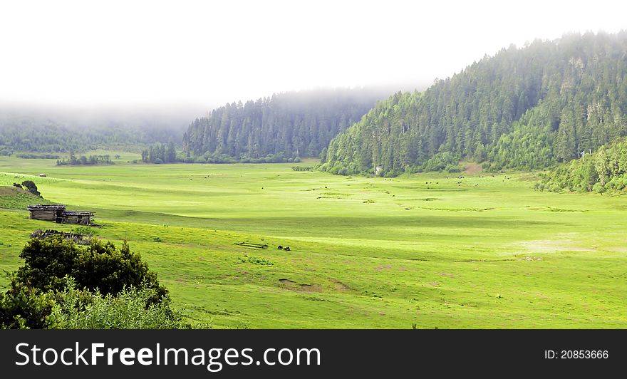 Lone Shack In Valley