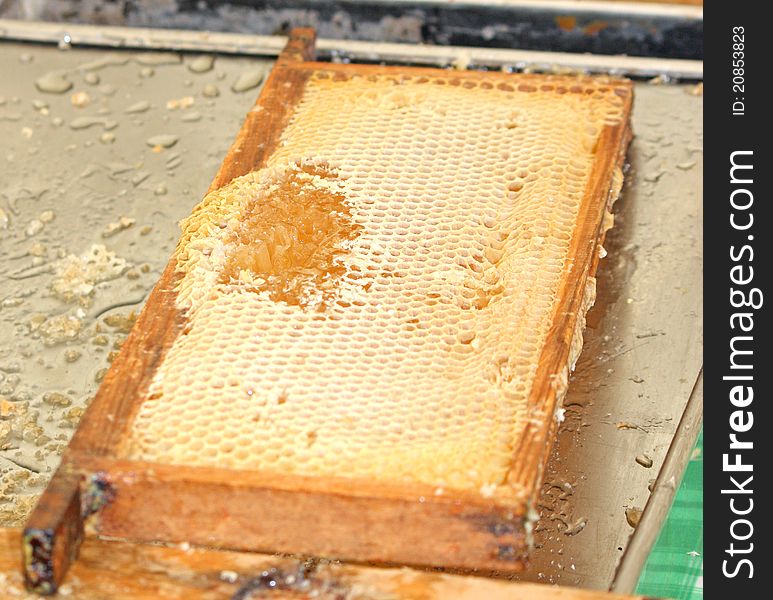 A Honeycomb Tray Taken From A Beehive. A Honeycomb Tray Taken From A Beehive.