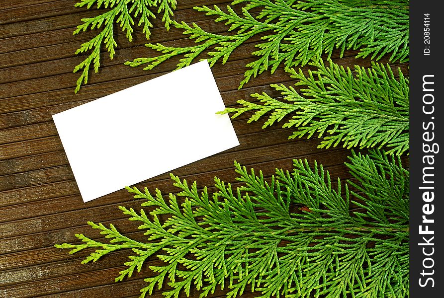 Blank card and branch of fir- tree on wooden background