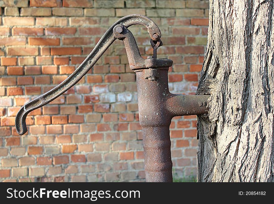 A closeup shot of a retro water pump growing into a tree. A closeup shot of a retro water pump growing into a tree