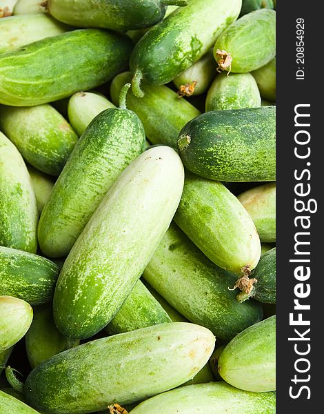 Pile of cucumber in fresh market , asian style vegetable , closeup background