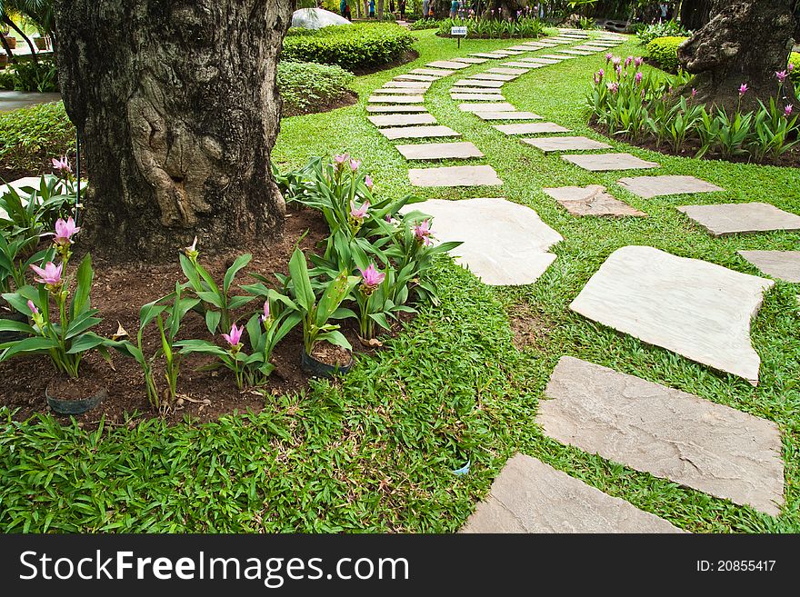 Stone Walkway In The Park