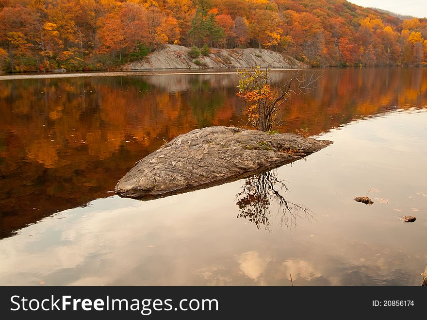 Beautiful Fall Colors In The Forest Lake.