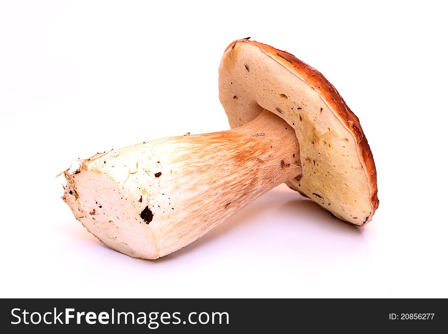 Color photo of wild mushrooms. Color photo of wild mushrooms