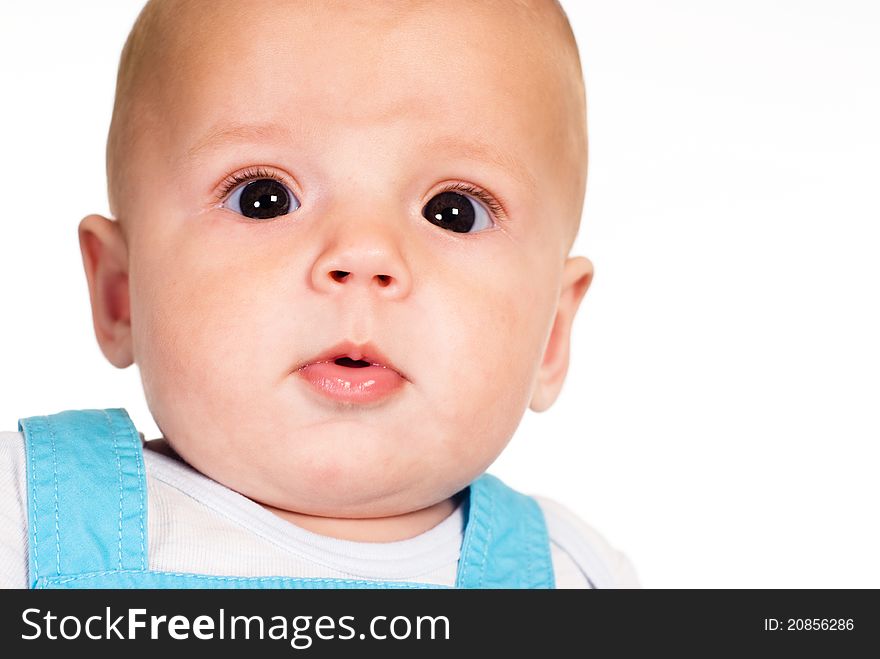 Portrait of a cute baby posing on a white. Portrait of a cute baby posing on a white