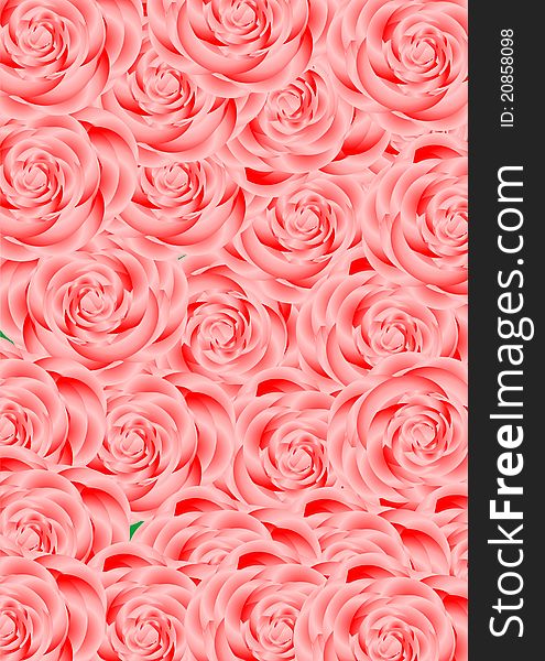 Large bouquet of pink roses on green background. Large bouquet of pink roses on green background.