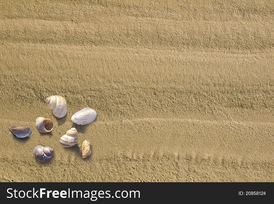 From sand with cockleshells