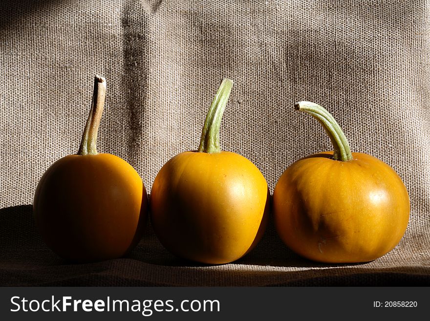 Three pumpkins on canvas background with sunbeam