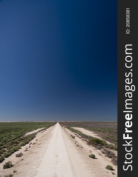 Unsealed country road in western NSW, Australia stretching off to he horizon. Unsealed country road in western NSW, Australia stretching off to he horizon