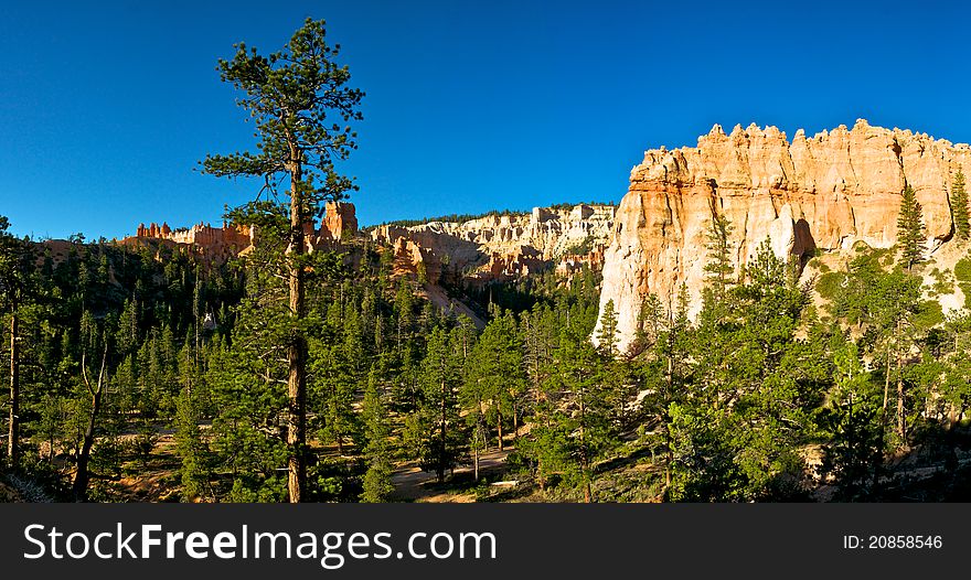 Hoodoos jut into a valley filled with pine trees. Hoodoos jut into a valley filled with pine trees.