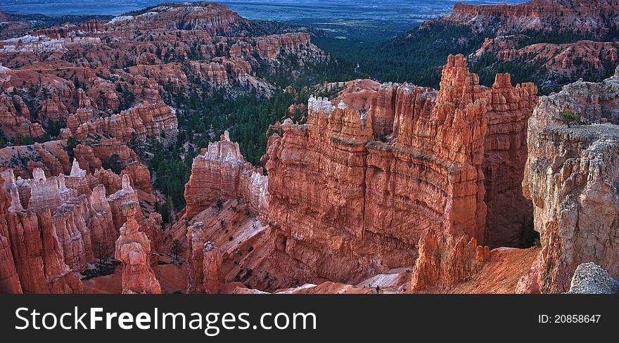 The Orange Hoodoos Of Bryce Canyon National Park.