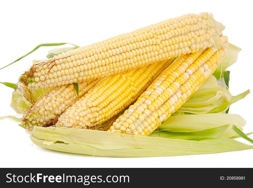 Ear of corn on a white background