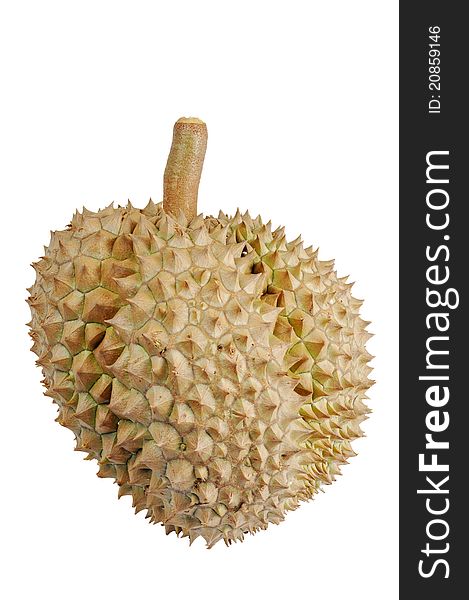 A durian, or king of fruits, isolated against a white background