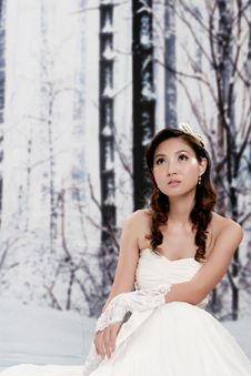 Portrait Of Beautiful Young Woman In Wedding Dress Stock Photography Portrait Of Beautiful Young Woman In Wedding Dress Stock Photography