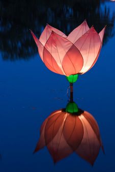 Lotus Light In Pond Royalty Free Stock Photography Lotus Light In Pond Royalty Free Stock Photography