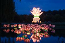 Lotus Light In Pond Royalty Free Stock Images Lotus Light In Pond Royalty Free Stock Images