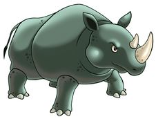Rhinoceros Royalty Free Stock Photography