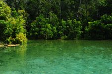 Emerald Lake Stock Photography Emerald Lake Stock Photography