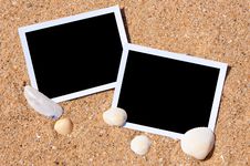 Sea Shells With Photos On Sand. Royalty Free Stock Photo Sea Shells With Photos On Sand. Royalty Free Stock Photo
