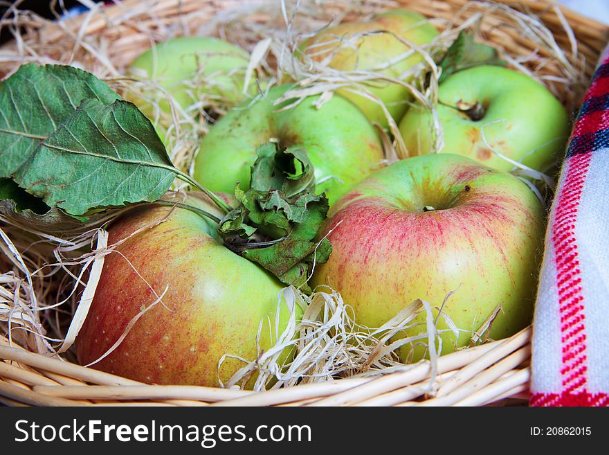 Harvest of apples in a basket. Harvest of apples in a basket