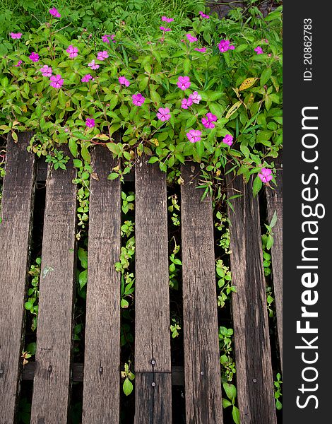 Wood planks with flowers in garden