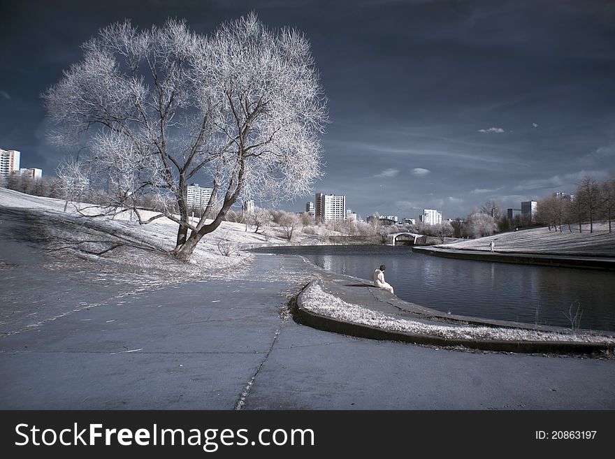 City, tree, river and sky