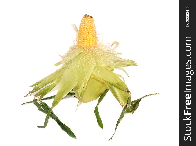 The ear of ripe yellow corn costs vertically. The ear of ripe yellow corn costs vertically