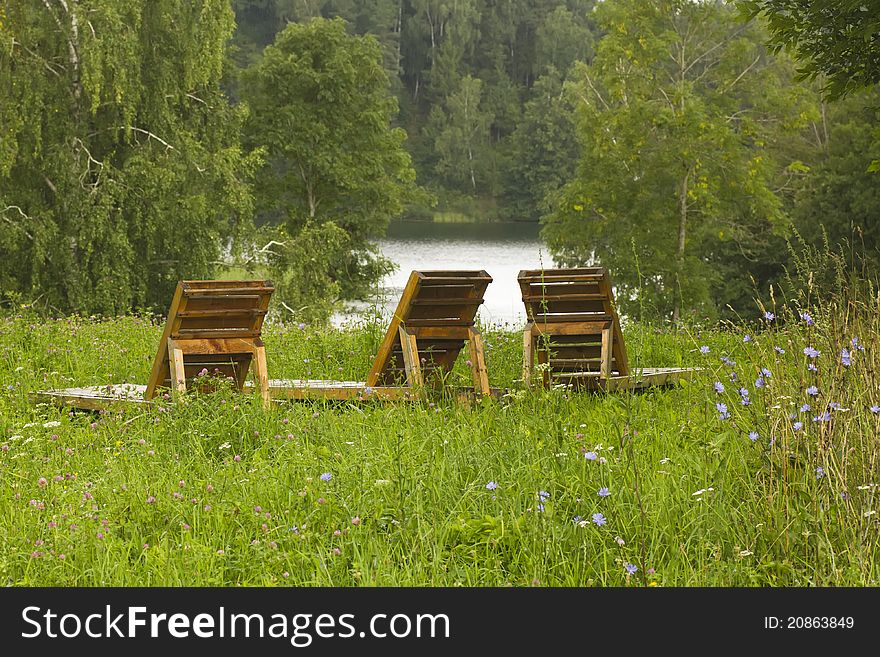 Tree empty deckchairs on grass against view of lake and forest