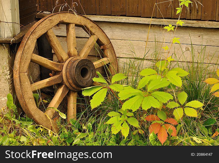 Wheel on the backyard of country house