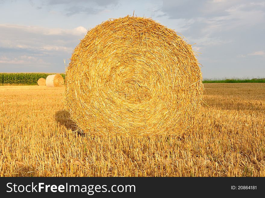 Golden hay bale on a field. Golden hay bale on a field.