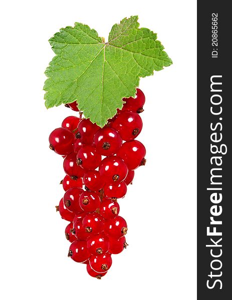 Fresh ripe currant - isolated on a white background