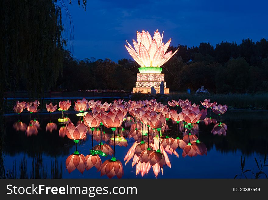 Lotus light in pond