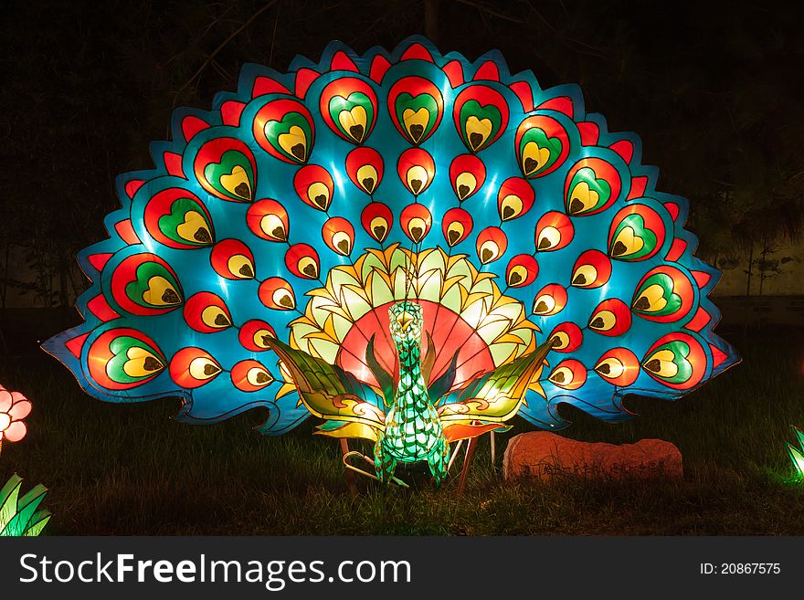 Peacock light in the park