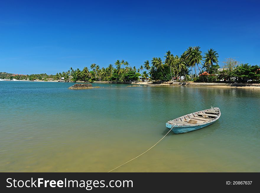 Boat in sea with coconut plantation background, Samui island, Thailand
