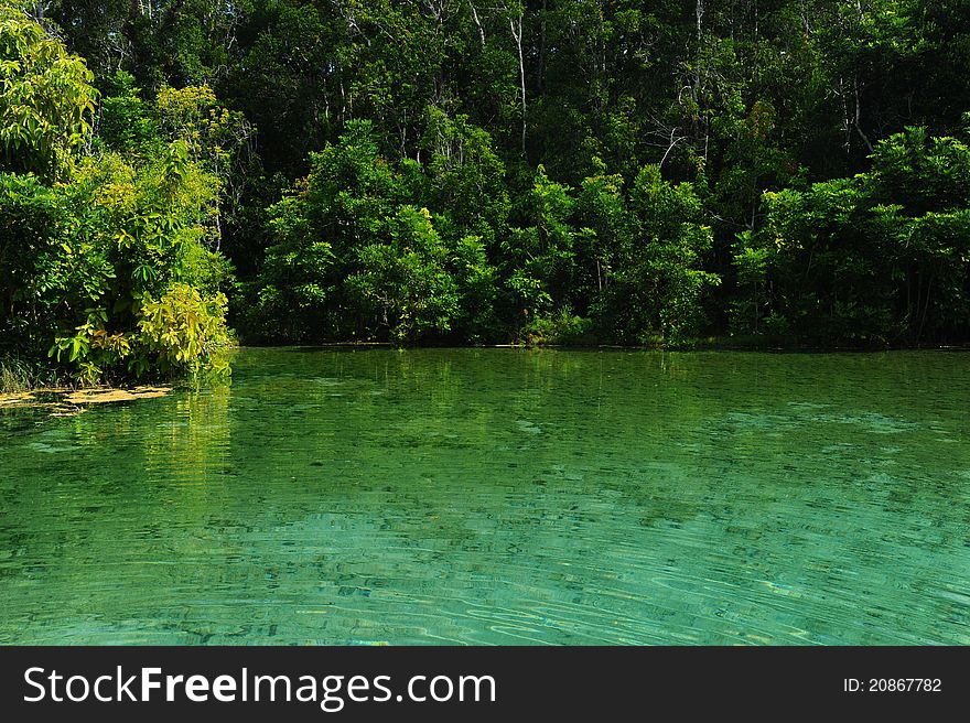 Emerald lake in Krabi, Thailand