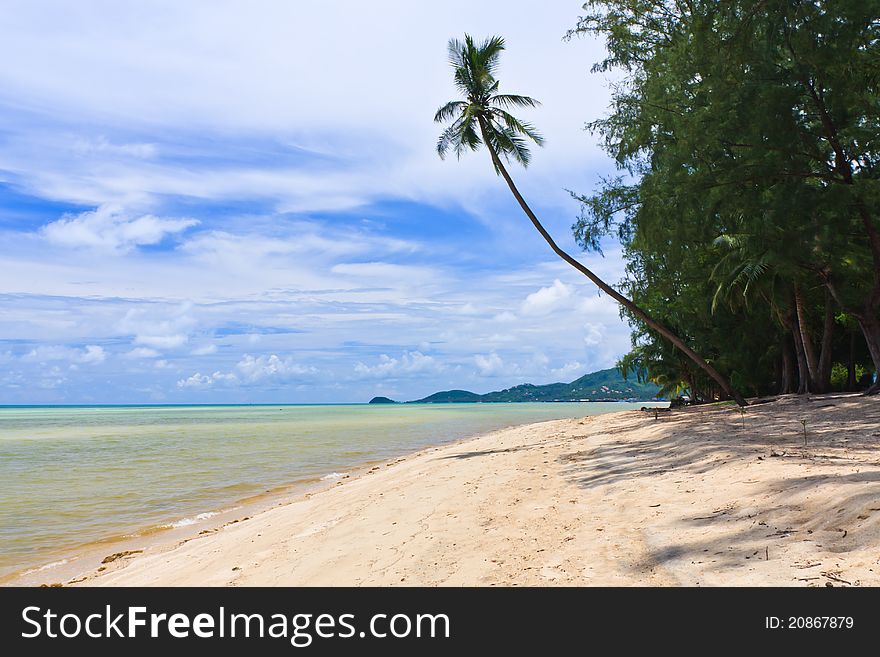 Beach with palm trees on Samui island,Thailand. Beach with palm trees on Samui island,Thailand