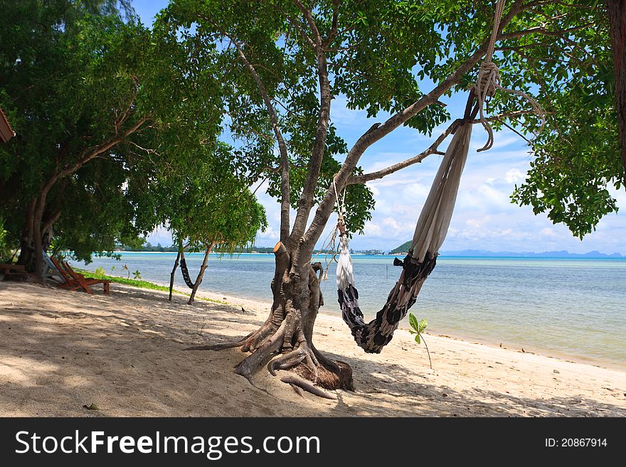 Hamock on beach with palm trees on Samui island,Thailand. Hamock on beach with palm trees on Samui island,Thailand