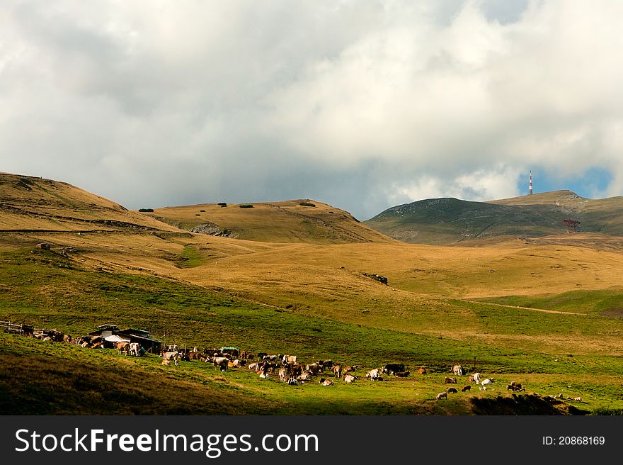 Landscape Of Bucegi Mountains In Romania