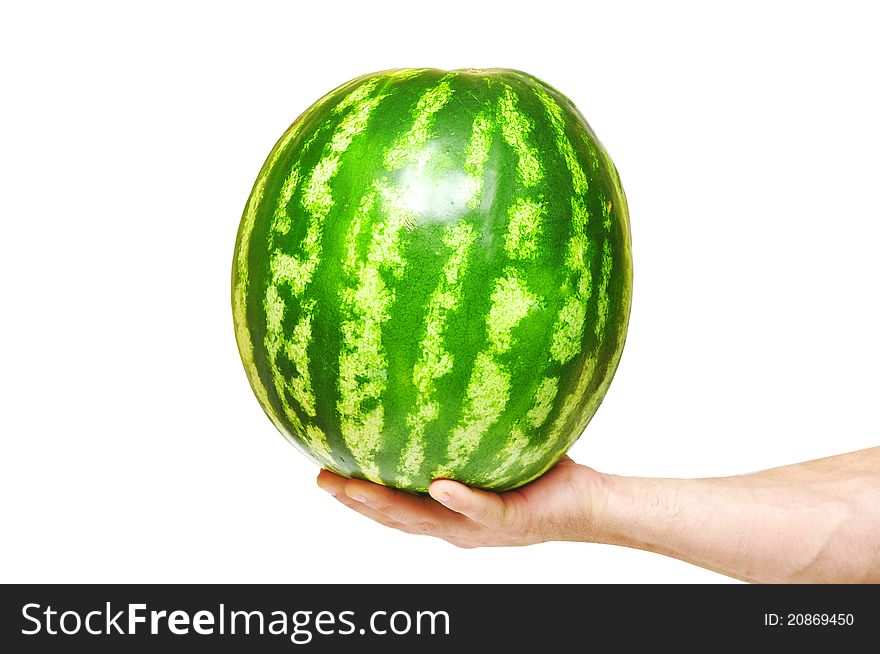 Watermelon in hand on white