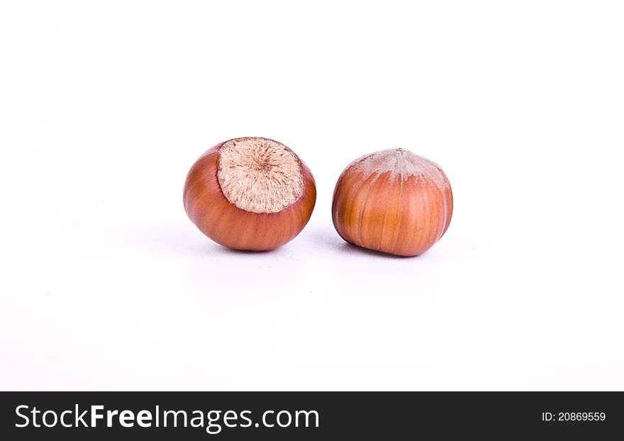 Two fresh brown hazelnuts on white background
