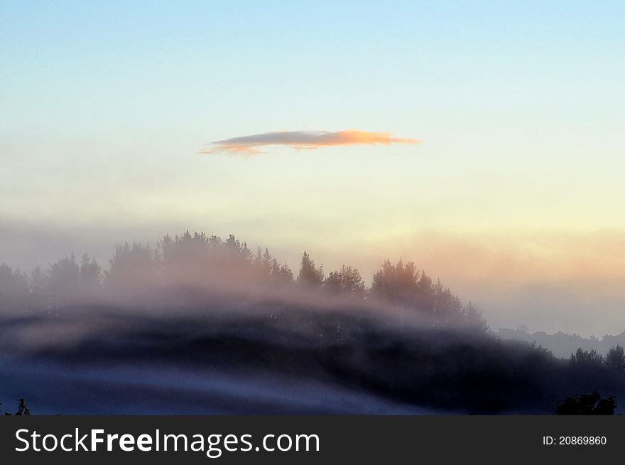 A photo taken of the early morning mists over the hills in Waitomo, New Zealand. A photo taken of the early morning mists over the hills in Waitomo, New Zealand.