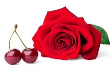 Two Sweet Cherries And Rose Royalty Free Stock Photos Two Sweet Cherries And Rose Royalty Free Stock Photos