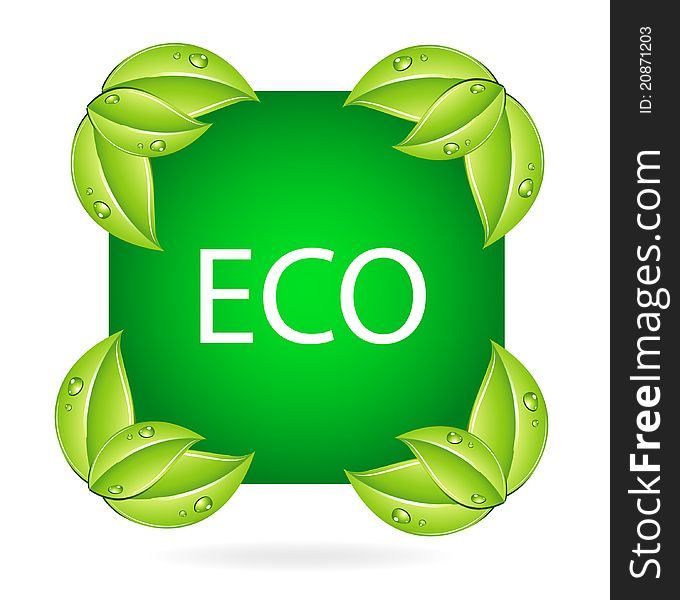 Nature eco symbol and leafs green color