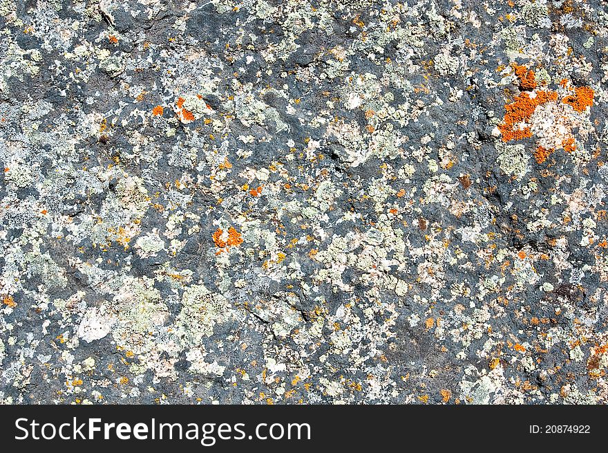 Grey stone with accurate structure close up for your background