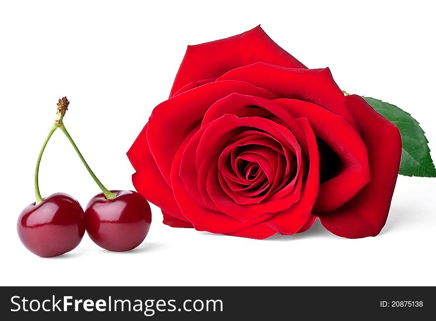 Two sweet cherries and rose on white background