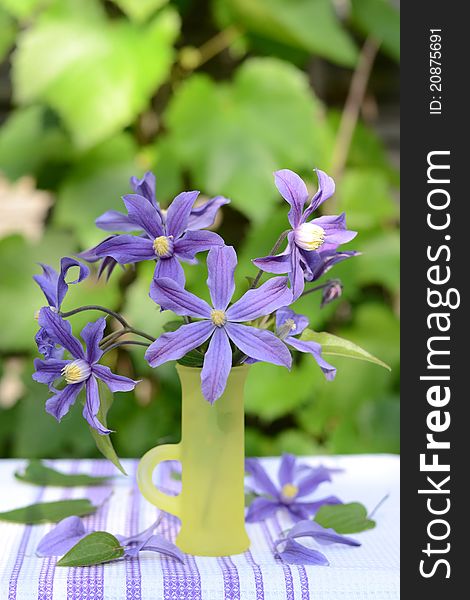 Blue clematis in yellow vase