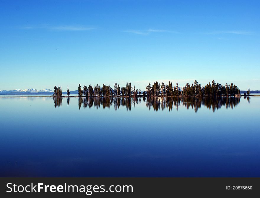 Tree line in the early morning at yellowstone lake. Tree line in the early morning at yellowstone lake